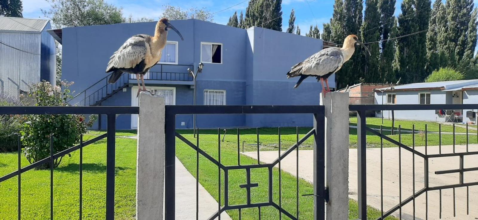 דירות אל קלפטה Departamentos Mawer מראה חיצוני תמונה